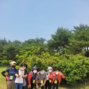 충무공이순기념관 이미지