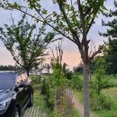 변산오토캠핑장 이미지