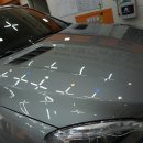 명가모터스 이미지