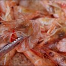 양지한우타운식당 이미지