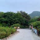 초원오토캠핑장 이미지