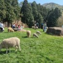 남해-179 이미지