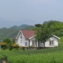[초급매매]제천시 수산면 구곡리 시골마을 텃밭넓은 단독주택매매/1억2천만원 이미지