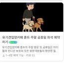 [화성 봉담]유기견 입양 애견 카페 < 훈트 > 입양 가능O' 작은천국'인 곳