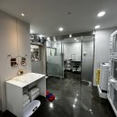 케이디펫 이미지