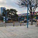 또루루 | 가성비로 유명한 양재꽃시장🌼 루루플라워 3만원대 꽃다발 구매! (‼체험단 아님, 내돈내산O)