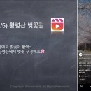 연제구-007 티스토리