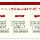 엘스타뷰티