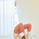 요가 이미지
