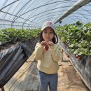 검은들농장 이미지