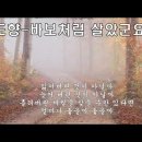 바보처럼 살았군요 / 김도향 이미지