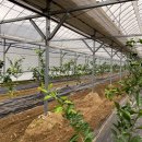 갈현농장 이미지