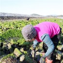 장흥목장 이미지