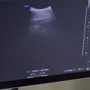 산호대로29길-2 이미지