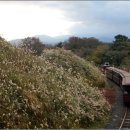 에코랜드 이미지