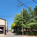 아중종로약국 이미지