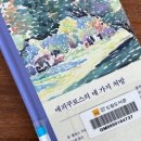 핑플 이미지