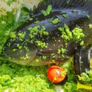 세주마트 이미지