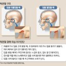 턱관절 장애 이미지