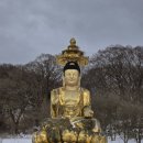 천년카페 이미지