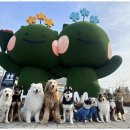 굿데이독 케어센터 | 하남애견호텔 굿데이독에서의 행복한 하루