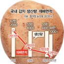 김덕수농장 이미지