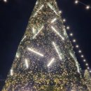 오동동177 이미지