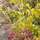 기룡리마을회관 이미지