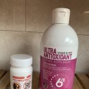 아뮤고나 이미지