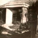 성서조약국 이미지