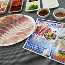 배양곡 이미지