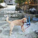 산청에가면 | 산청에가면 펜션후기 호텔식 석식포함