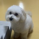 견생묭실 이미지