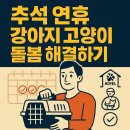 강아지를부탁해(돌봄) | 추석 연휴, 강아지 고양이 어떡하죠? (3가지 선택지와 완벽 준비 가이드)