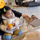 안녕아가 이미지