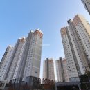 대륙부동산공인중개사사무소 이미지