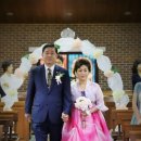 신반의원 이미지