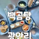 고흥한우곰탕 | 광안리곰탕 백곰탕 광안리 신상 찐맛집 첫오픈 방문 후기