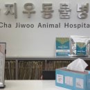 차지우동물병원 이미지