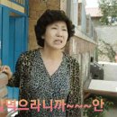 해와달 영화 한번 찍고 가실께요 이미지