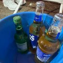 한강마차 | 대구 북구 칠성시장 포장마차 분위기 깡패 해산물이 맛있는 희준이네포차