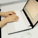스텔라 인셀덤 네이버블로그