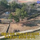 다모아농장 이미지