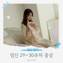 털뭉탱이 | 임신 29주차 30주차 증상, 태동 동영상과 만삭사진 후기