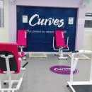 커브스모종클럽 이미지