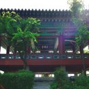 정자나루 이미지