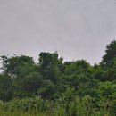 단양군어상천면덕문곡보건진료소 이미지