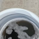 바다랑포도펜션 이미지