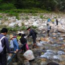 도강농장 이미지