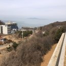 전원카페 이미지